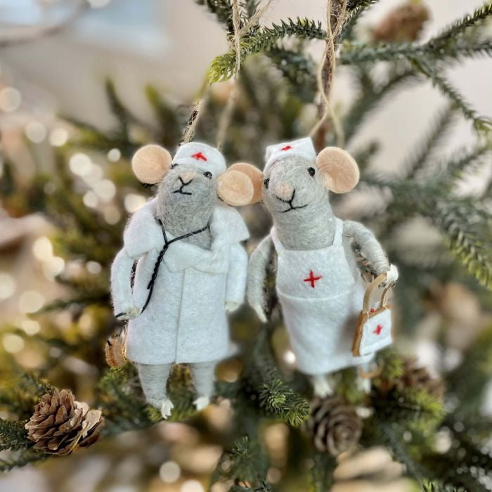 Doktor Mus Julekule