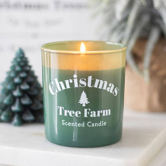 DUFTLYS – CHRISTMAS TREE FARM 🎄🌲