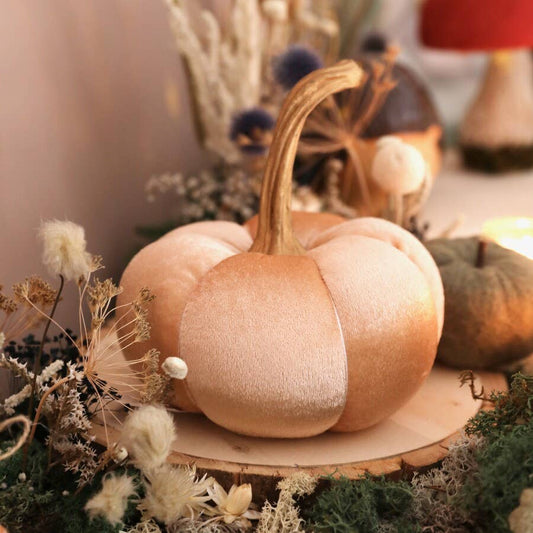 Fløyelsgresskar Peach