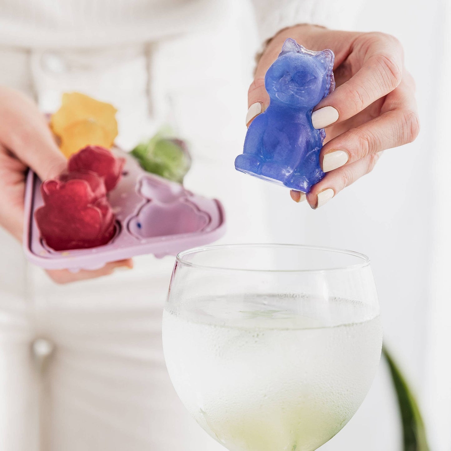 Cool Cat 3D Isbitform