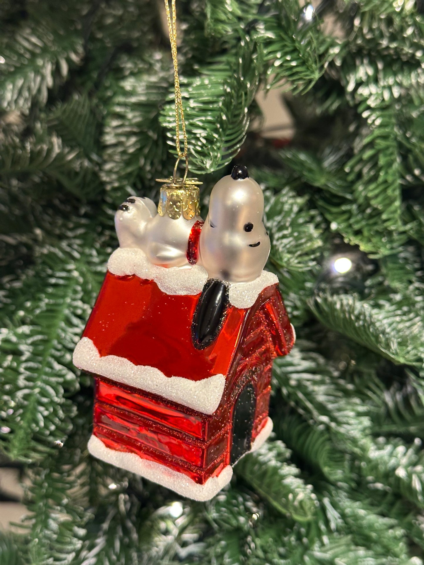 Vondels Snoopy på hundehuset