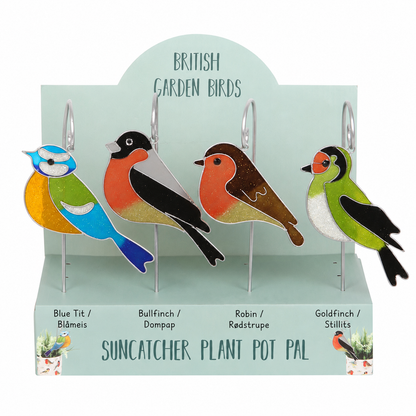 Solfanger fugl til potte og hage