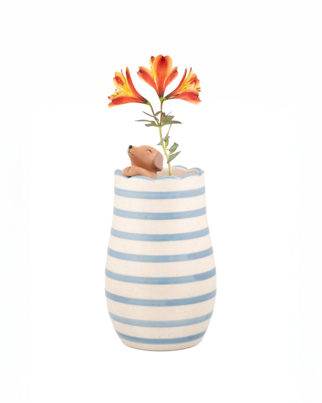 Peeking Sausage Dog vase – dachshund vase 🐾
