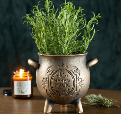 Herbal Magic urtepotte