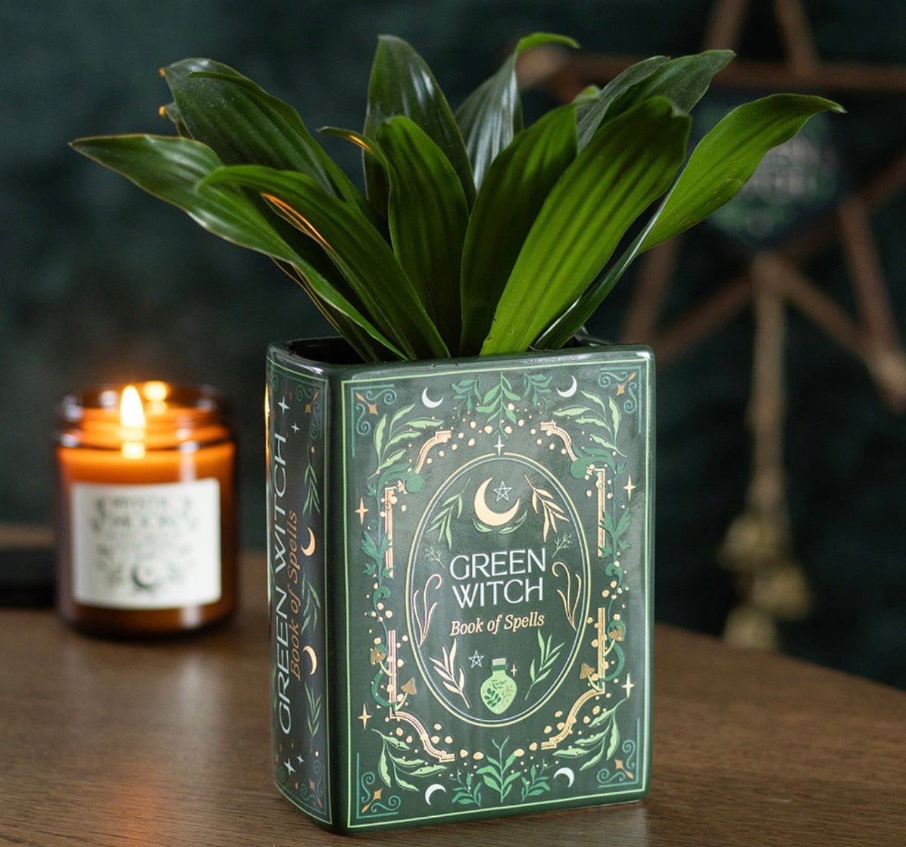 Green Witch Bookvase