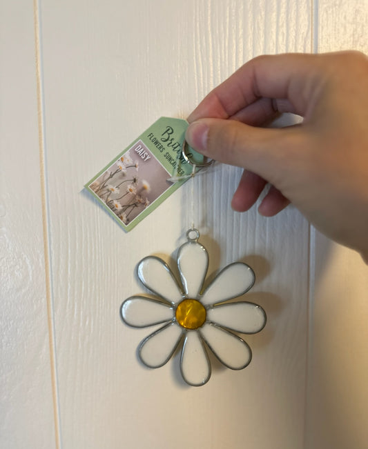 Solfanger – British Flowers Daisy