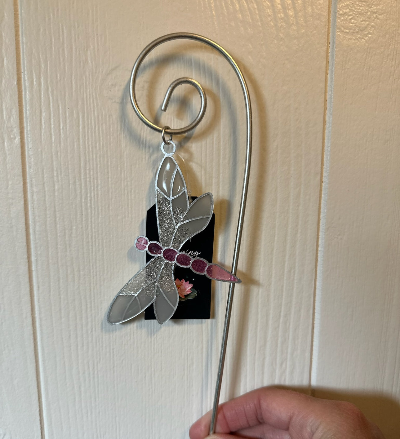 Solfanger – Øyenstikker Rosa