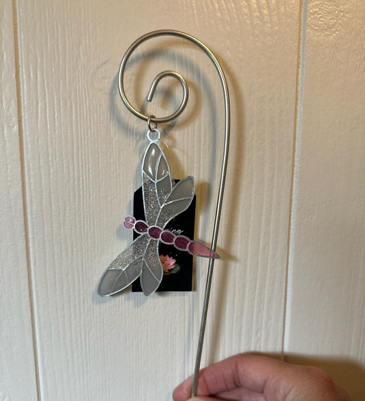 Solfanger – Øyenstikker Rosa