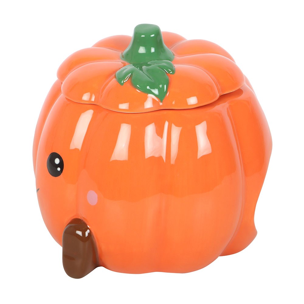 Cute Smiling Pumpkin Duftbrenner